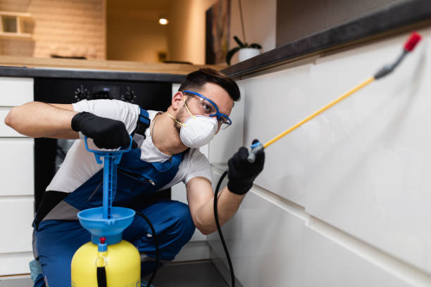 Best Flea Control Services  in Ridgemark, CA