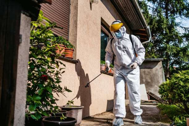 Best Best Pest Control Companies  in Ridgemark, CA
