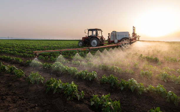 Best Commercial Pest Control Services  in Ridgemark, CA