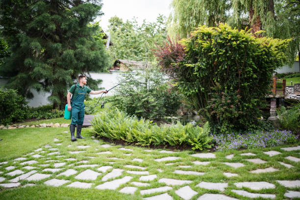 Best Pest Removal Services  in Ridgemark, CA