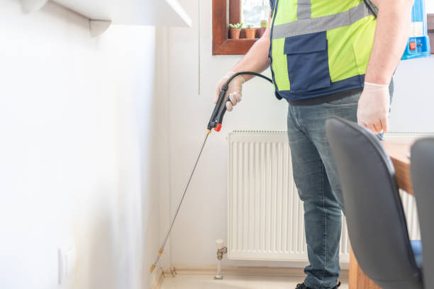 Best Rat Extermination Near Me  in Ridgemark, CA