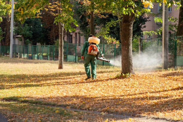 Best Mosquito Control Services  in Ridgemark, CA