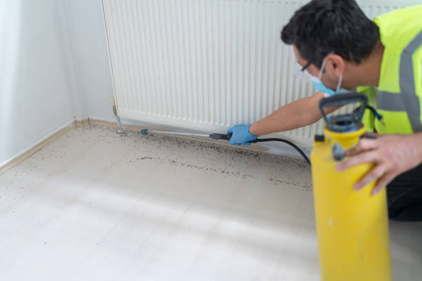 Best Local Pest Control Services  in Ridgemark, CA