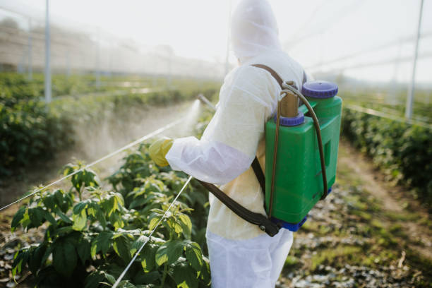 Ridgemark, CA Pest Control Company